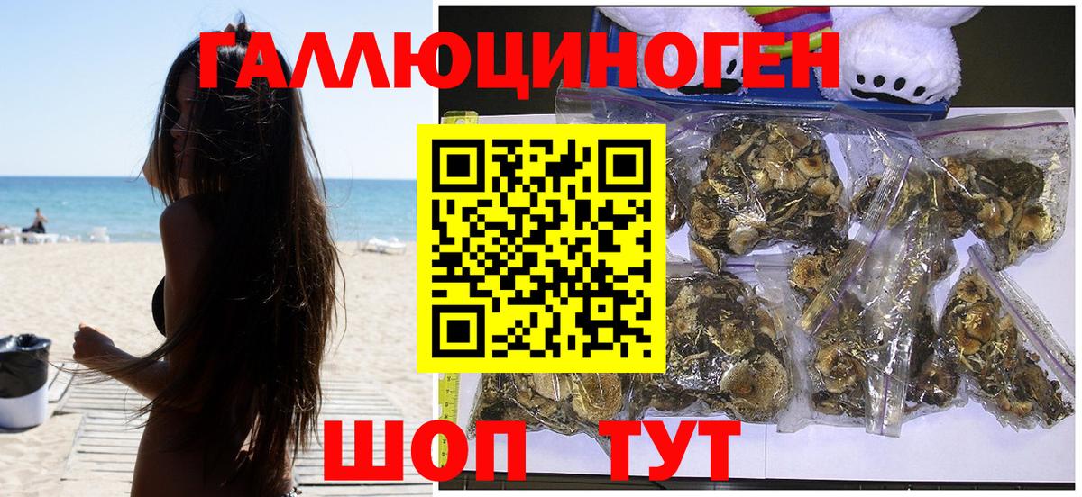 Галлюциногенные грибы GOLDEN TEACHER Артёмовский