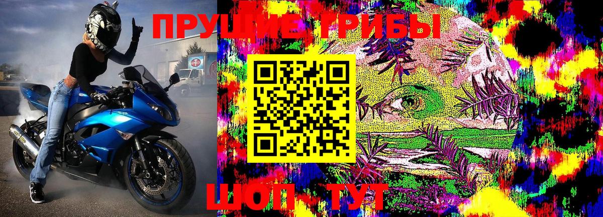 Псилоцибиновые грибы прущие грибы  Псилоцибиновые грибы Magic Shrooms  Артёмовский 